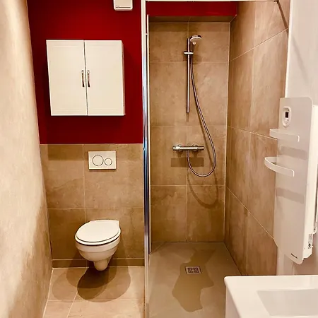 Apartament Le Cocon Forezien - Emplacement Ideal & Charme Irresistible Feurs